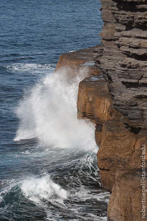 tasmanian peninsula coastline